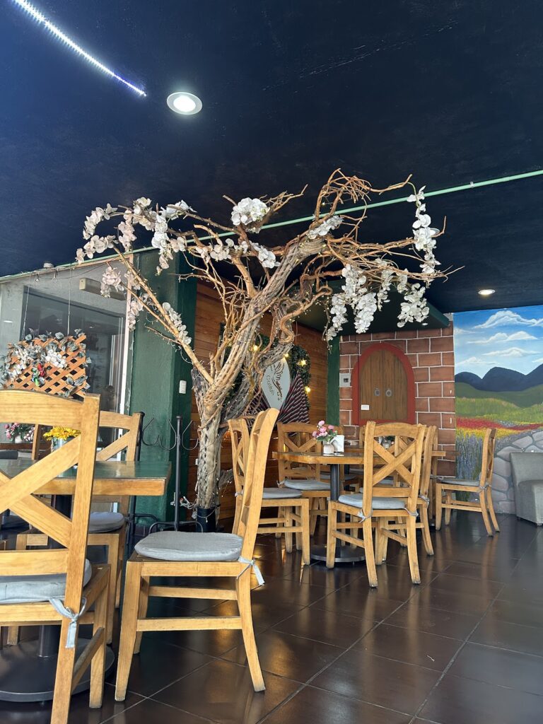 13387 colibri cuernavaca 768x1024