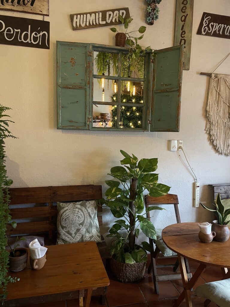 13393 la bendita 768x1024