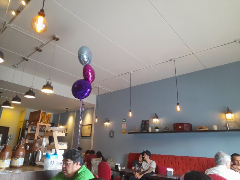 13461 cafe del profesor 768x576