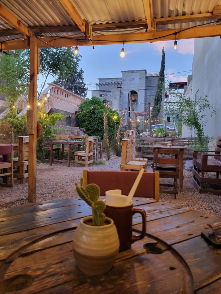 13514 el cactus cafe 768x1024