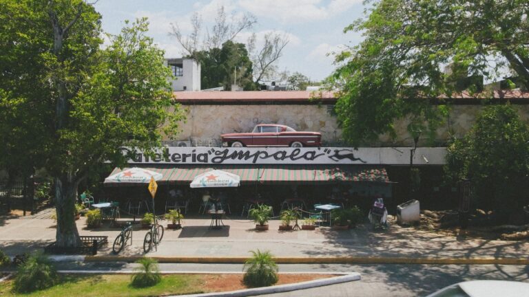 13558 cafeteria merida impala ☕️ the first coffee shop since 1958 on paseo de montejo centro 768x432