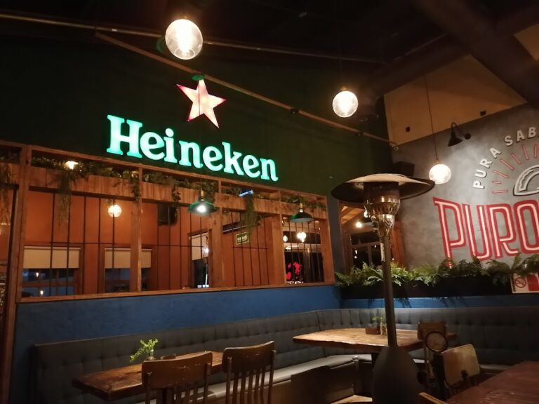 13676 puro taco 768x576