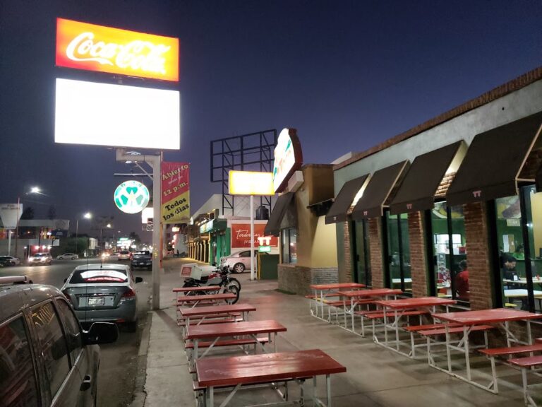 14008 taco taco 768x576