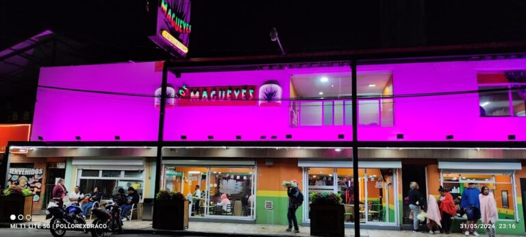 14052 taqueria los magueyes ocotlan 768x346