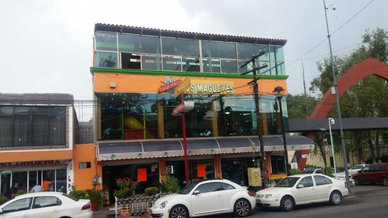 14054 taqueria los magueyes centro expositor 768x432