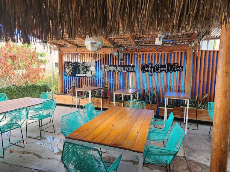 14138 mariscos cabo seafood el tezal 768x576
