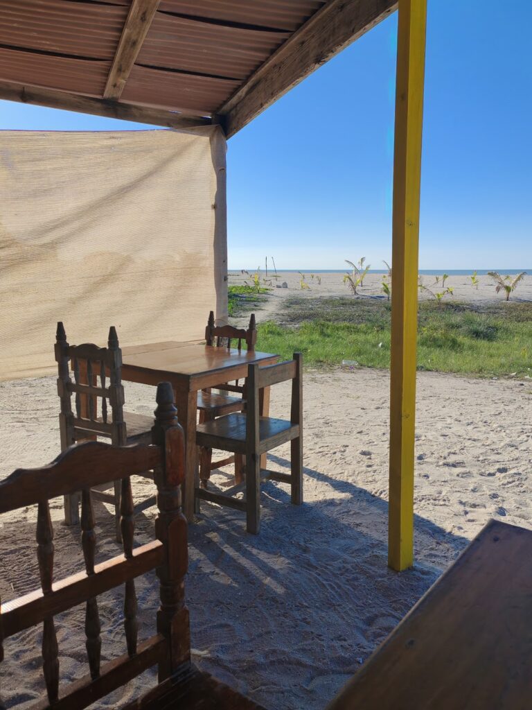 14170 rey del marisco 768x1024