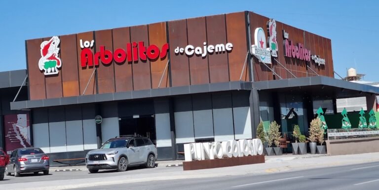 14182 los arbolitos de cajeme saltillo 768x386