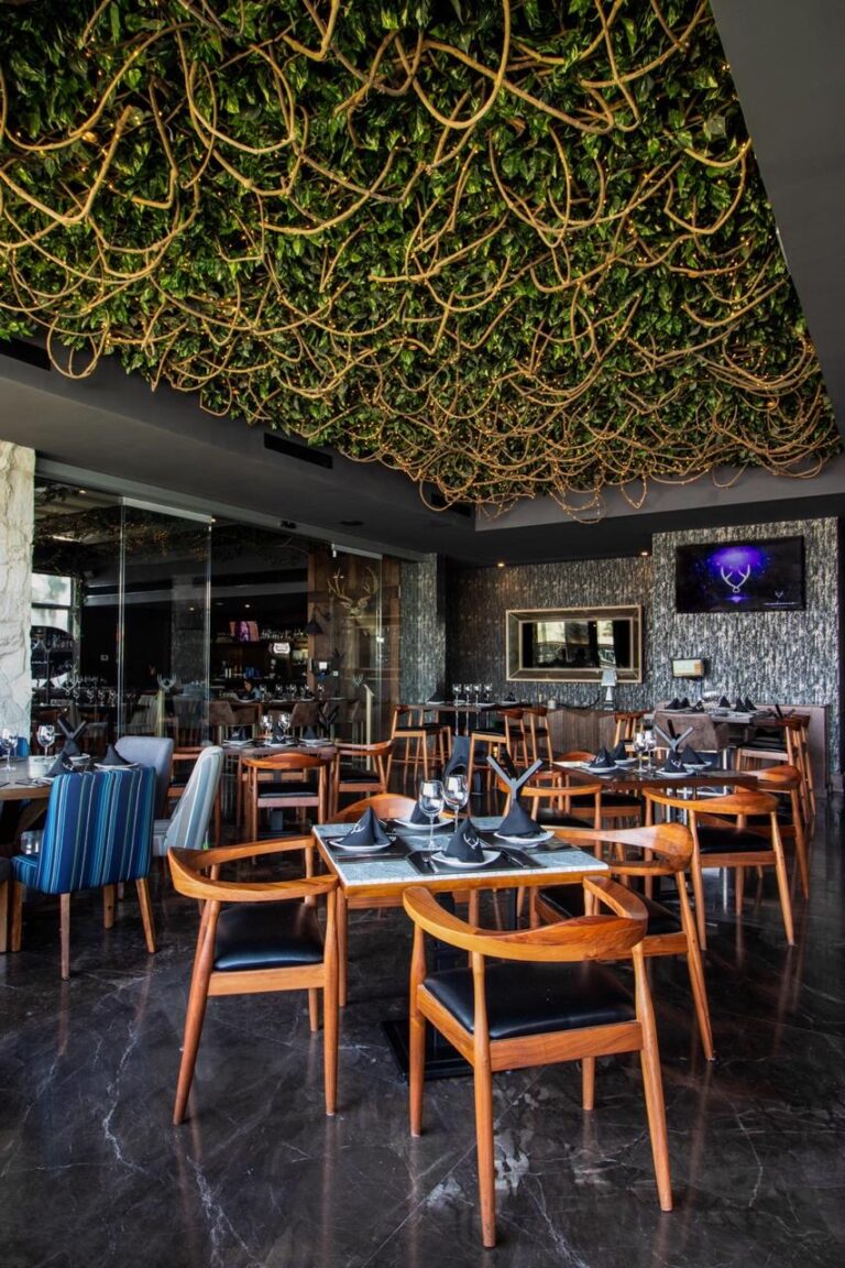 14194 mochomos aguascalientes 768x1152