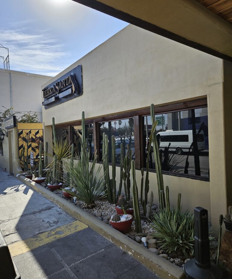 14198 tierra santa restaurante 768x922