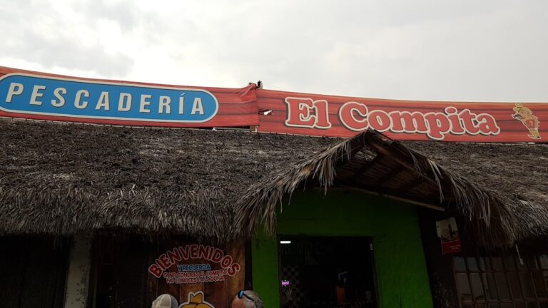 14246 el compita 768x432