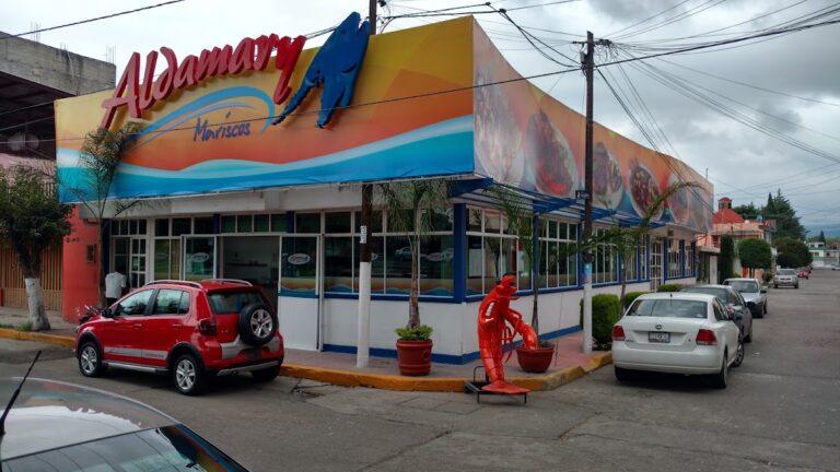 14310 aldamary sucursal tulancingo 768x432