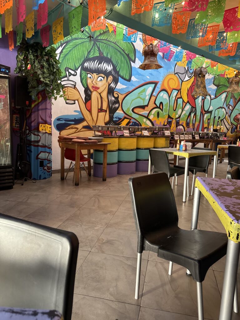 14318 sayulitros tlaquepaque 768x1024