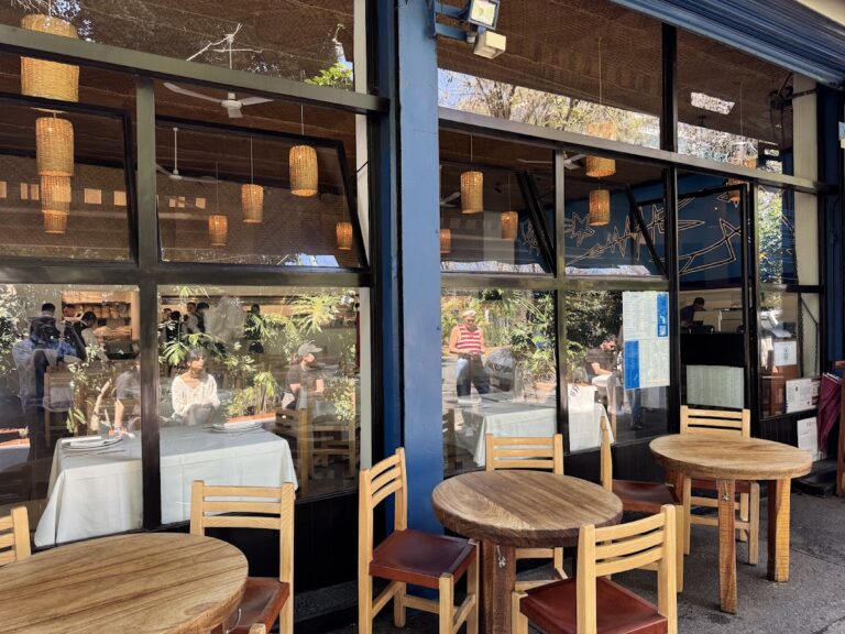 14340 contramar 768x576