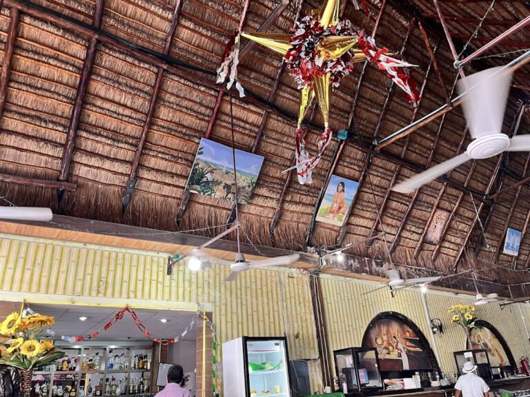 14490 mi viejo marisqueria 768x576