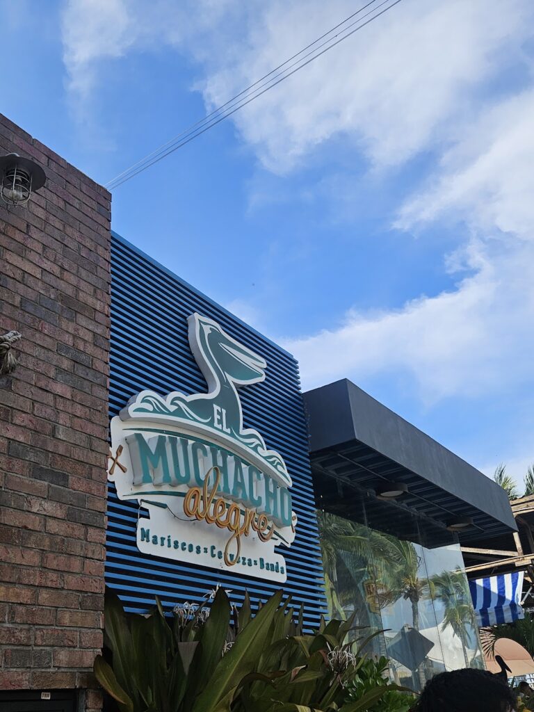 14504 el muchacho alegre 768x1024