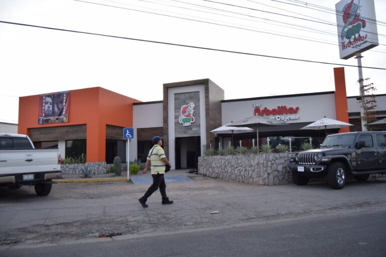 14516 los arbolitos de cajeme solidaridad 768x512