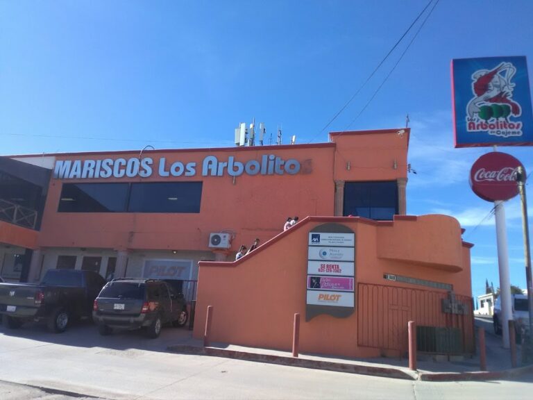 14542 los arbolitos de cajeme nogales 768x576