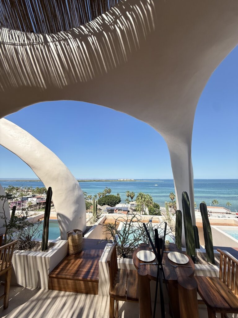 14644 azotea 768x1024