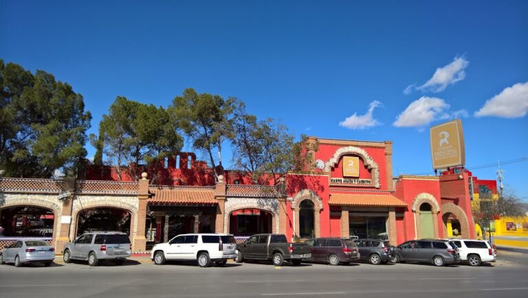 14702 el meson principal 768x433