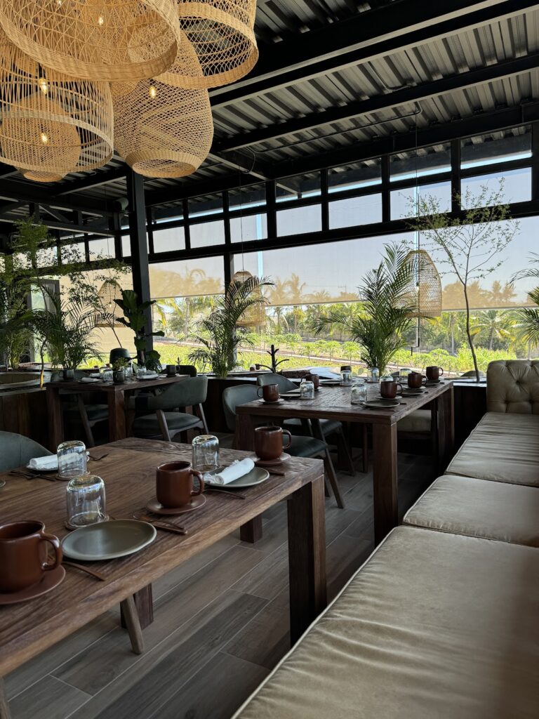 14874 cosecha farm to table 768x1024