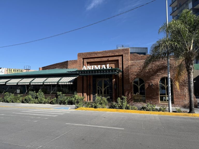 14896 animal puebla 768x576