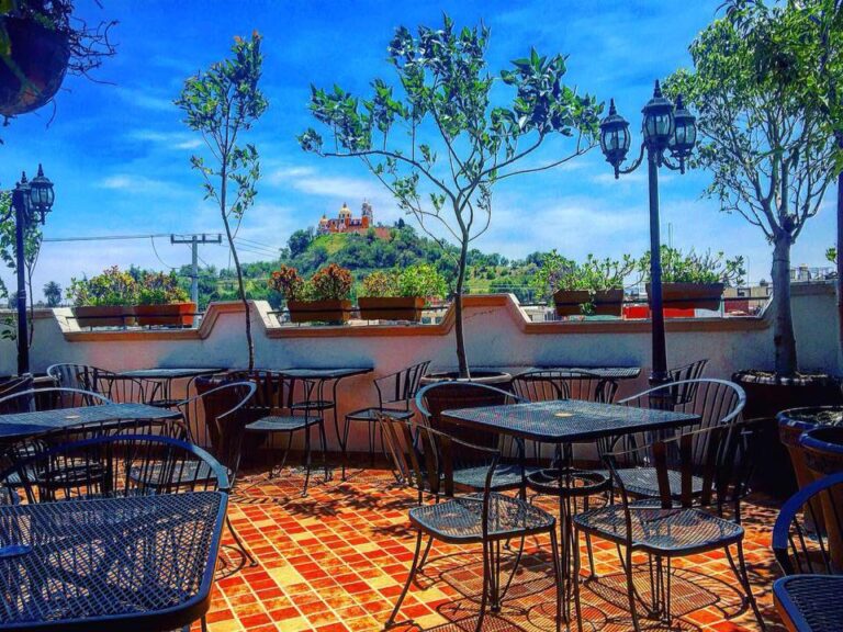 14920 cus cus cus 768x576