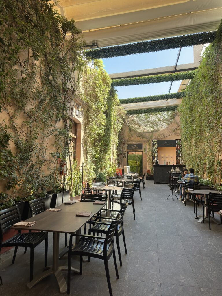 14930 tikua 8211 comida del sureste de mexico 768x1024