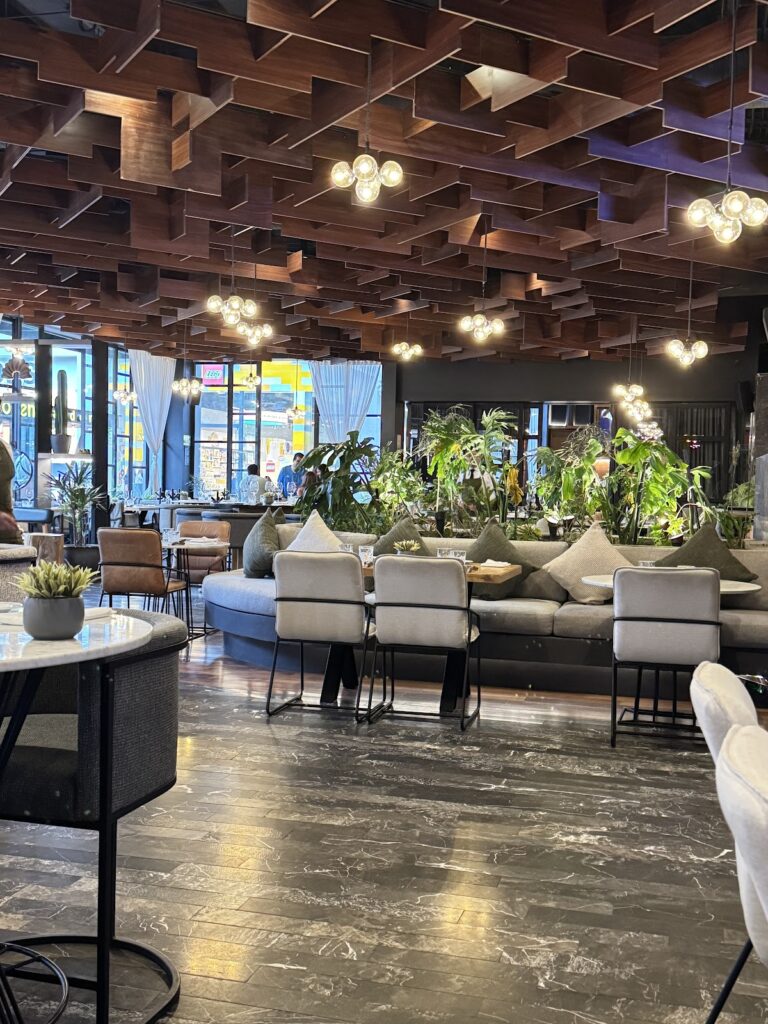 14978 casa prime san luis potosi 768x1024