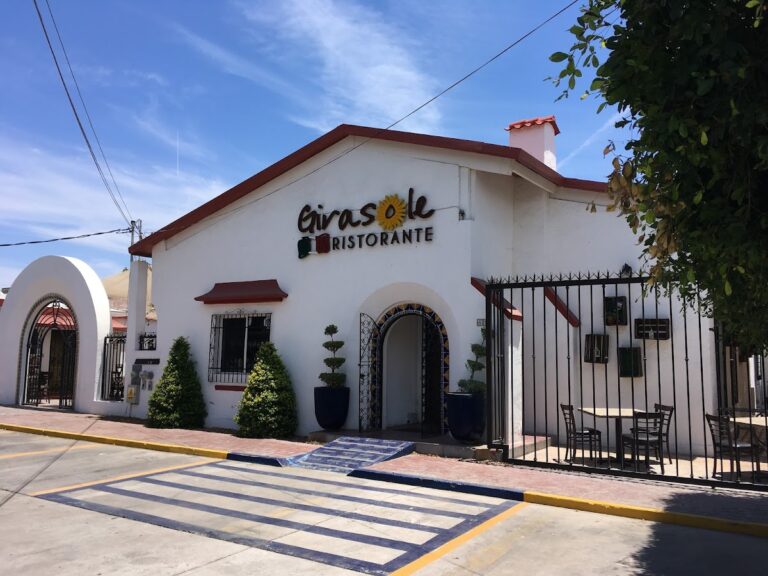 14986 girasole 768x576