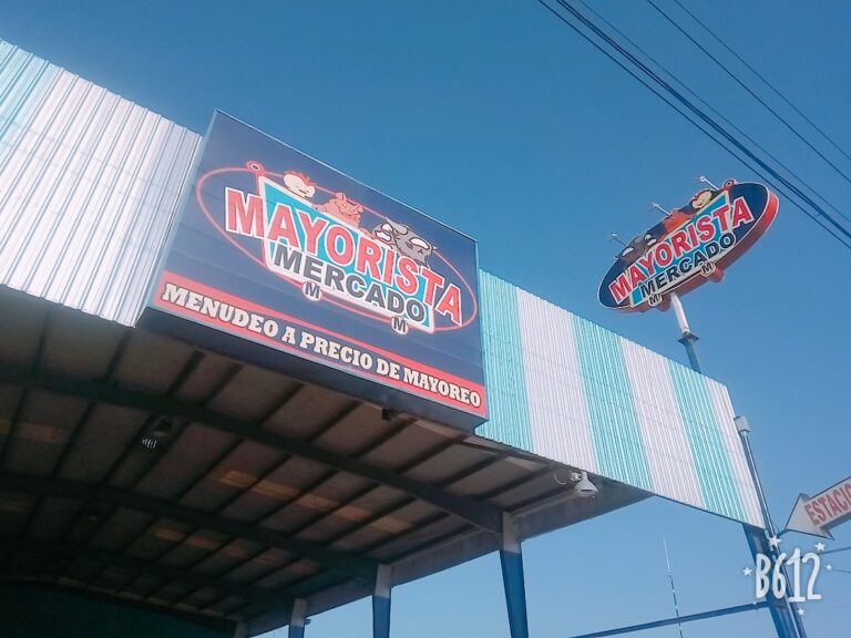 15054 central mayorista 768x576