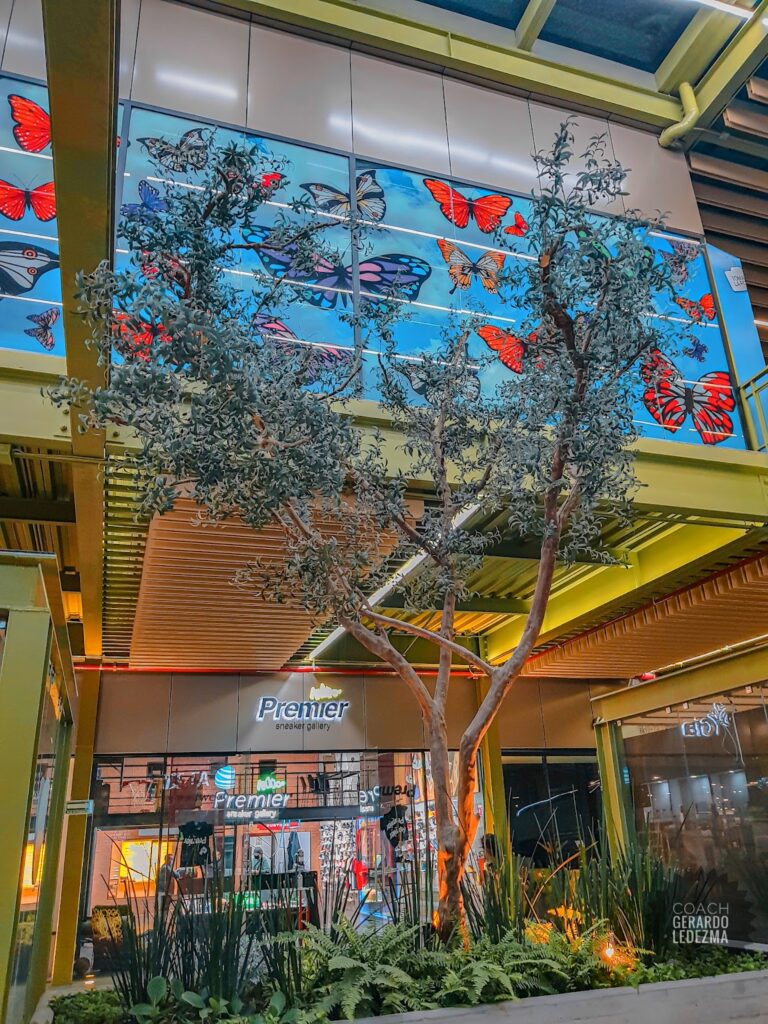 15066 chedraui selecto aguascalientes 768x1024