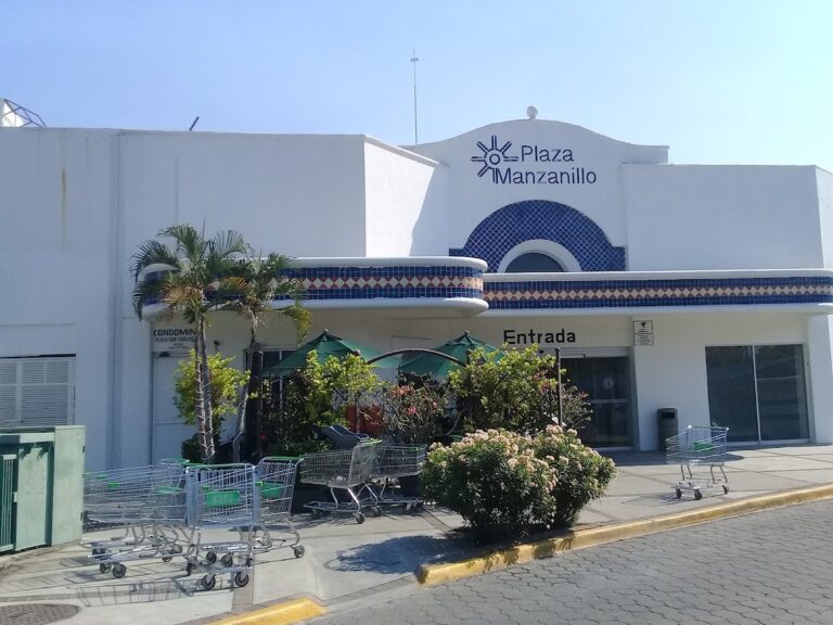 15162 la comer manzanillo 768x576