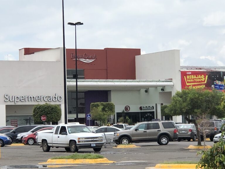 15214 walmart el sauz 768x576