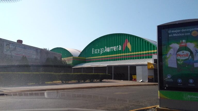 15236 bodega aurrera constituyentes 768x432