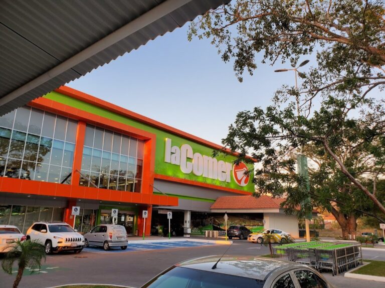 15268 la comer fluvial vallarta 768x576