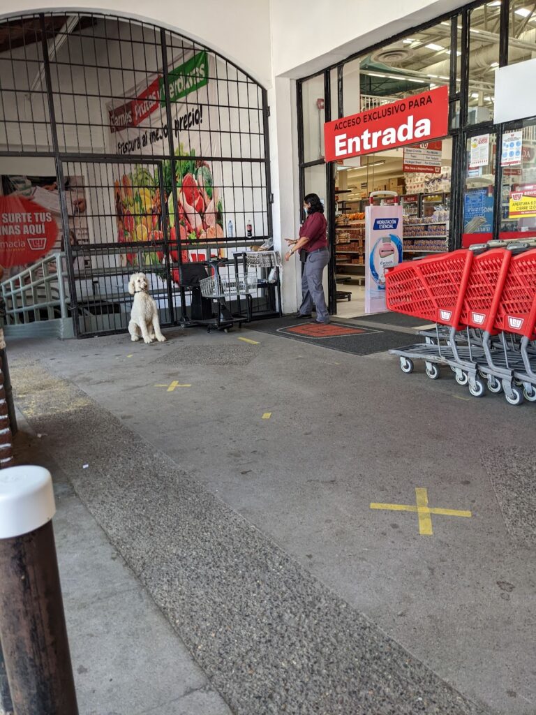 15282 casa ley 768x1024