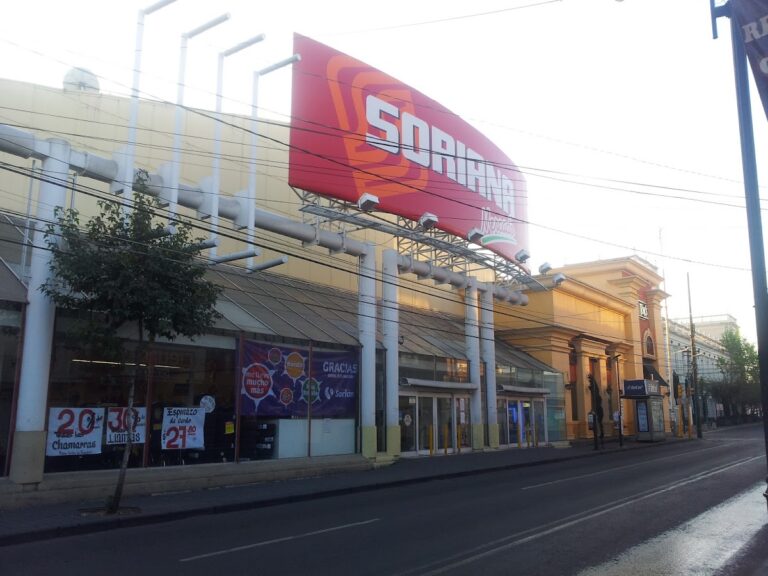 15288 soriana mercado toluca centro 768x576