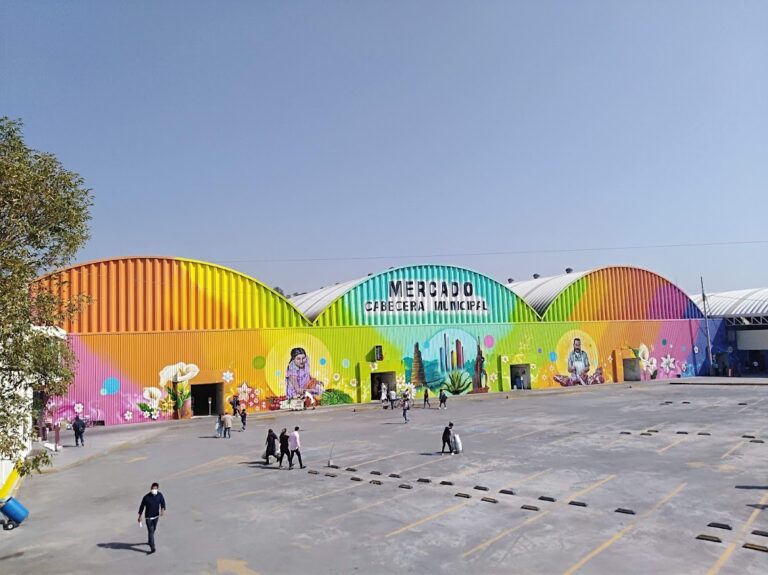 15290 soriana mercado san bartolo naucalpan 768x575