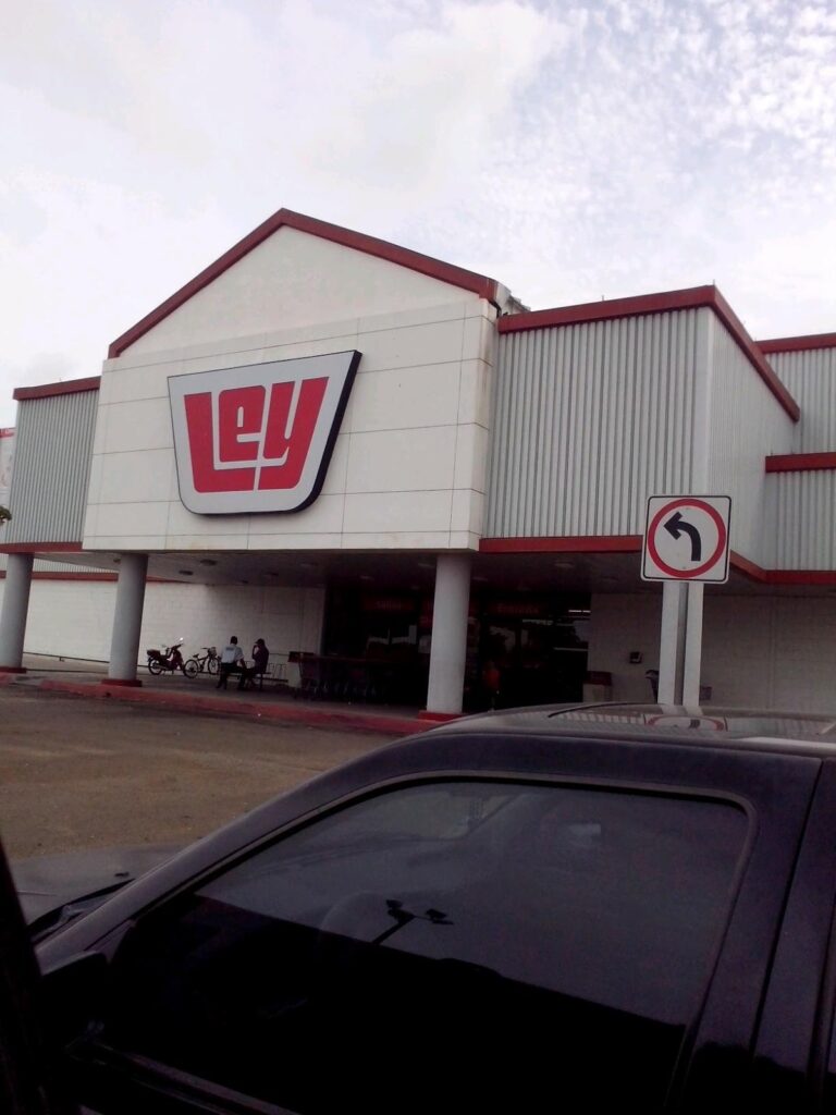 15449 ley tabachines 768x1024