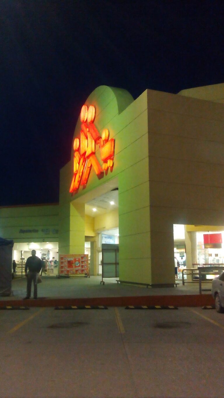 15467 chedraui cd. valles cuauhtemoc 768x1365