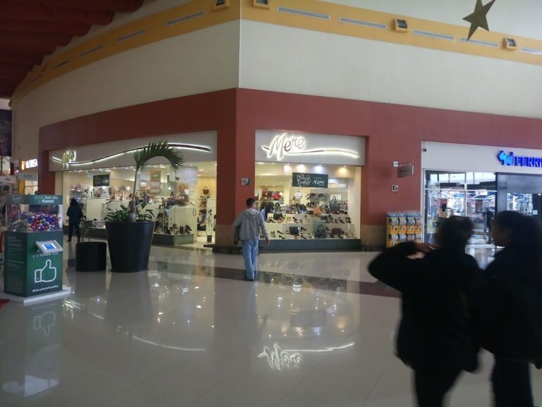 15539 walmart poza rica 768x576