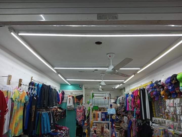 1556 servicios de electricidad