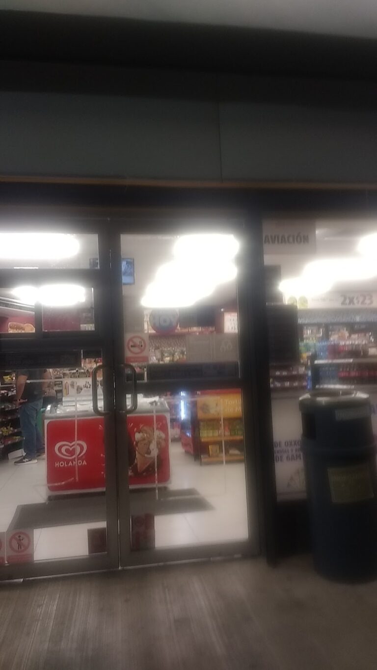 15607 oxxo aviacion 768x1365