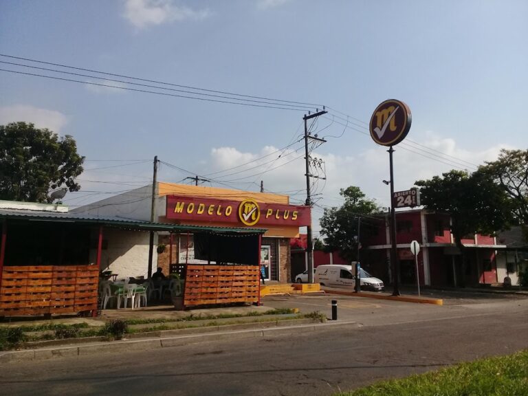 15653 modelo plus 768x576