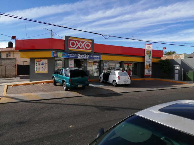 15733 oxxobugambilias 768x576