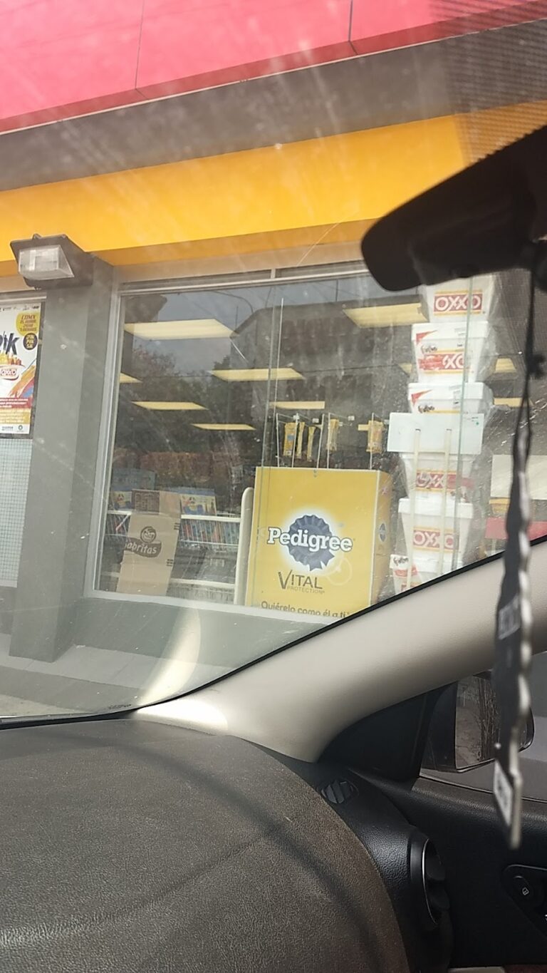 15795 oxxo rio bravo 768x1365