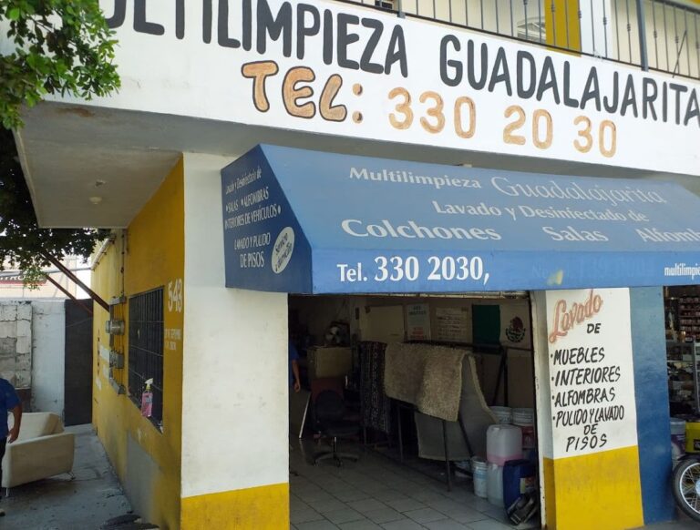 159 multilimpieza guadalajarita 768x582