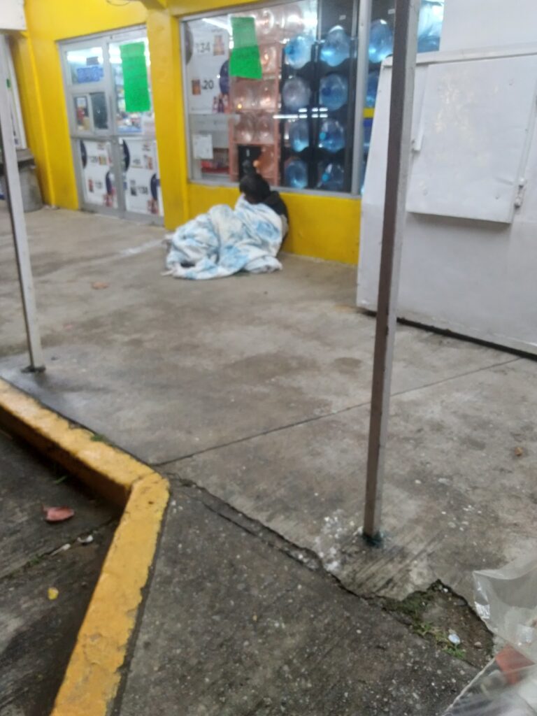 16001 tiendas bama 768x1024