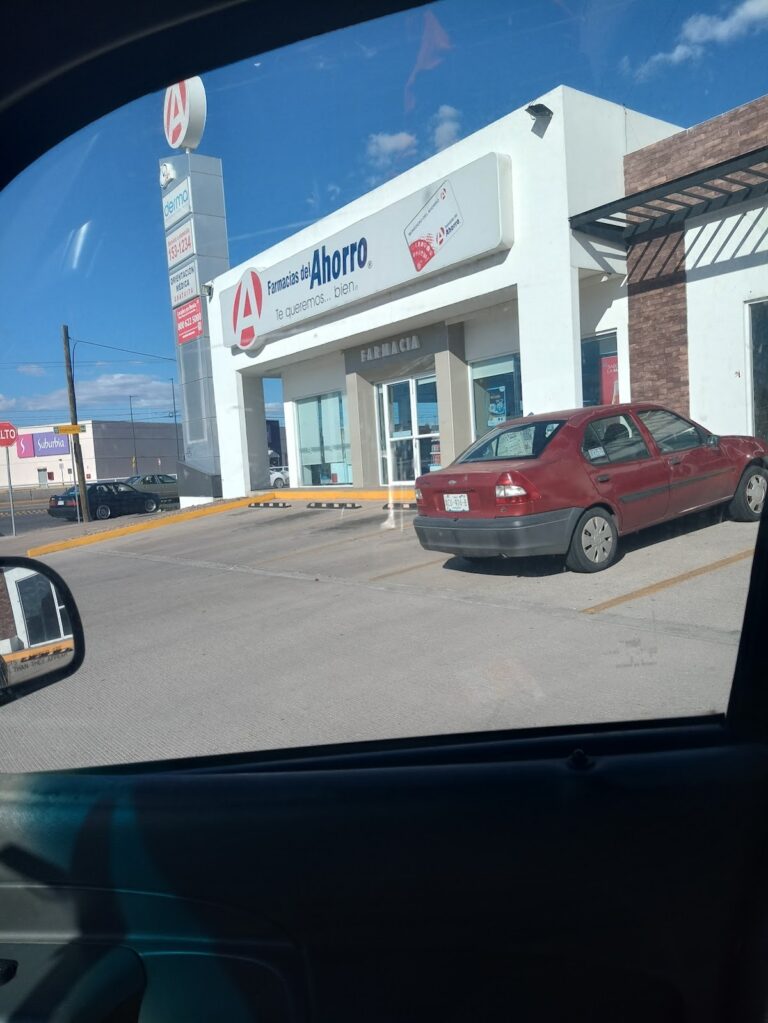 16047 farmacias del ahorro paseo de la asuncion 768x1023